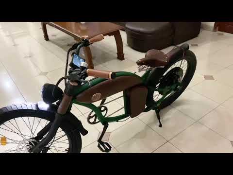 Rayvolt Premium E-bike test eiva application