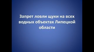 Ссылка