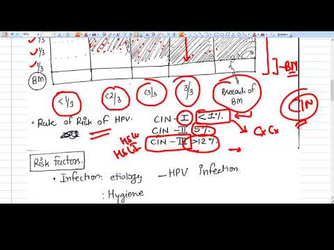What is CIN exactly? Cervical Intraepithelial Neoplasia