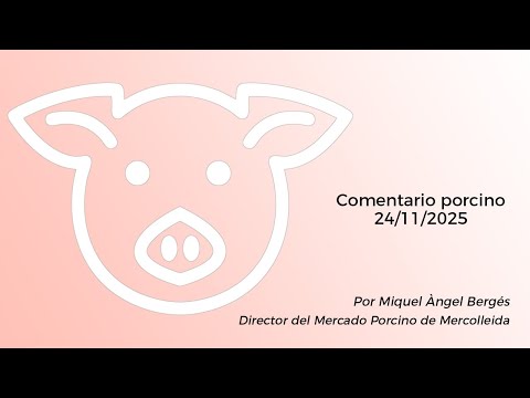Comentario porcino - 24/11/2025