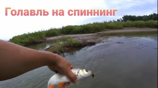 Урал где и на что ловить голавля