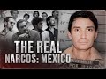 HOW MEXICAN NARCO S BECAME MULTIMILLIONAIRES The Story Of Guadalajara Cartel