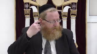 נפש החיים - שער ד' - שיעור 12 - הרב אברהם לוי
