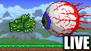 Terraria, but Armor is my ONLY Weapon