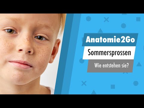 Warum bekommt nicht jeder SOMMERSPROSSEN? | Anatomie2Go