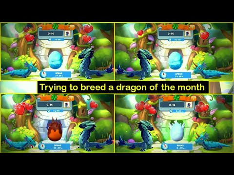 Breeding dragon of the month  - Ugly Duckling Dragon | Great Dragon Race | DML