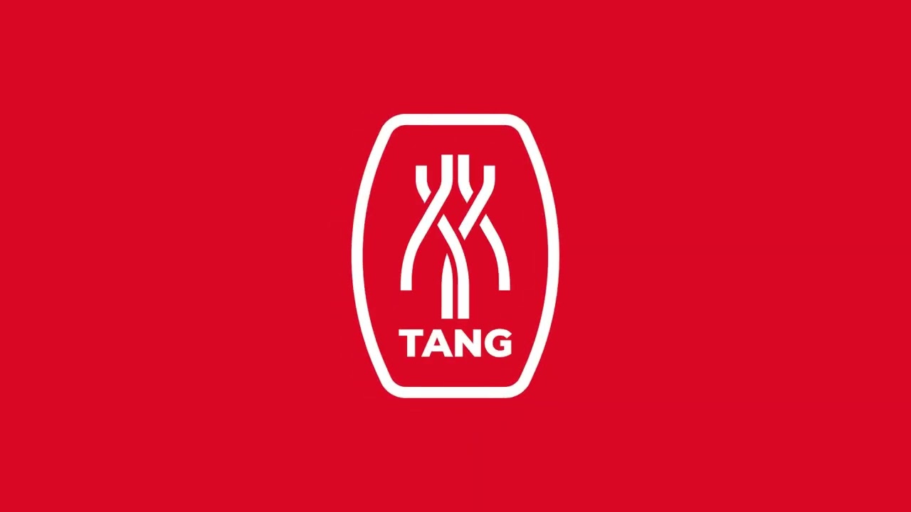 Tang - Desain Logo & Identitas Visual