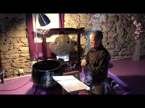 30' Guided Meditation for Coming Back to the Island of Self