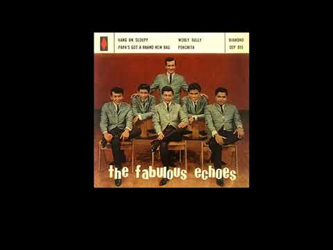 A Little Bit Of Soap ( with lyrics ) - The Fabulous Echoes