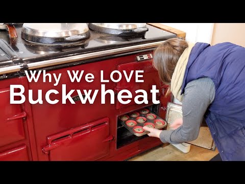 The many benefits of Buckwheat | Let's make some grain free blueberry buckwheat muffins!