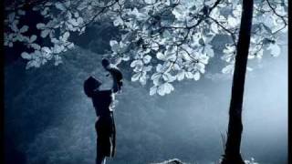 los alegres de teran-amor de madre.wmv