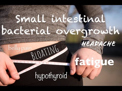 Small Intestinal Bacterial Overgrowth, from hypothyroidism to headaches