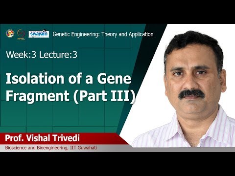 Genetic Engineering Theory and Application Intro Video