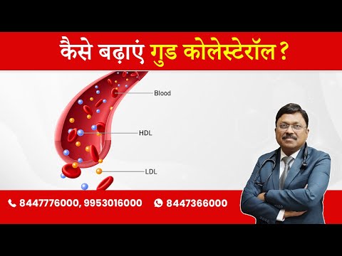 कैसे बढ़ाएं गुड कोलेस्टेरॉल | Tips to Increase GOOD CHOLESTEROL (HDL) | Dr. Bimal Chhajer | Saaol