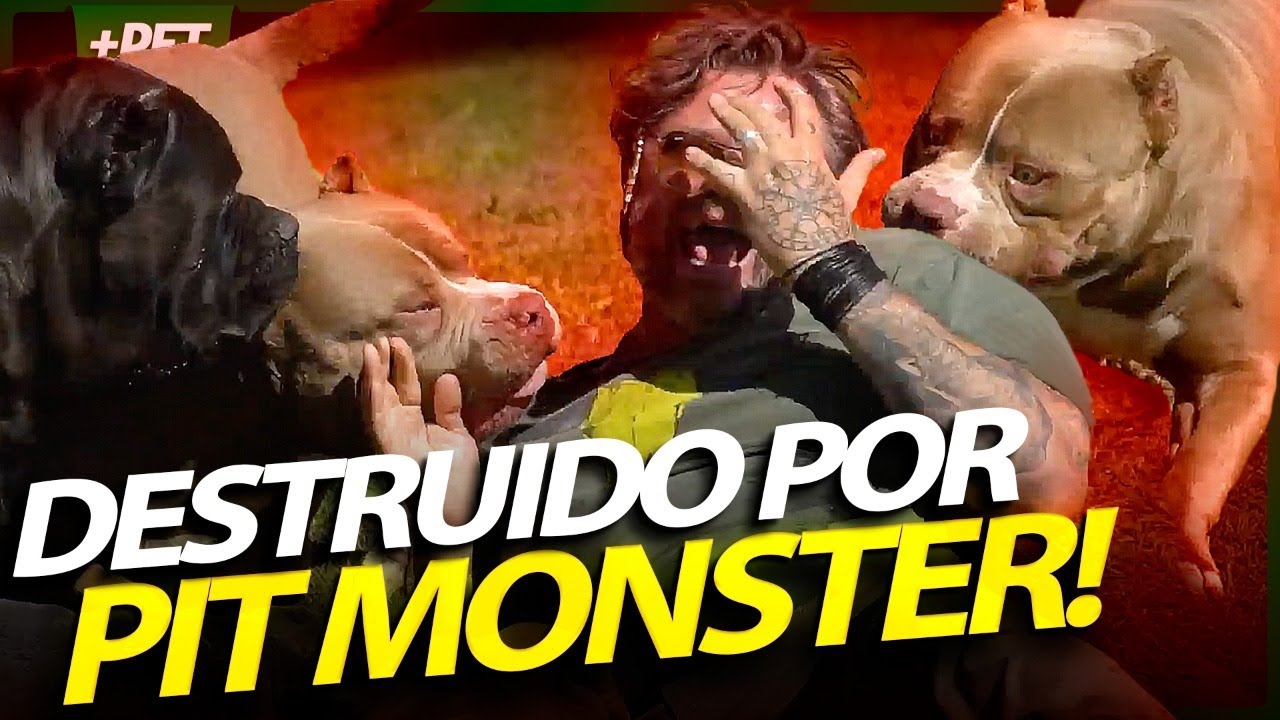 DESTRUÍDO POR PIT MONSTERS, OS CACHORROS MAIS MONSTRUOSOS! | RICHARD RASMUSSEN