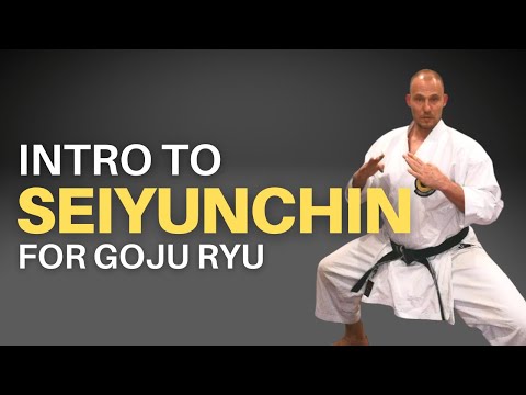 Goju Ryu Seiyunchin Kata Basics Part 1: A Detailed Introduction