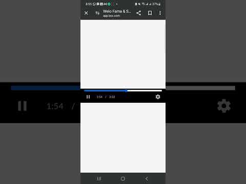 Welo Fama Y Sabio Phill - Bichotes de Web (canciones perdidas)