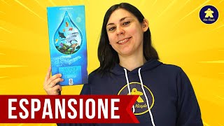 Video 1