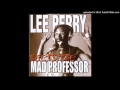 Lee Perry & the Mad Professor - Power Dub