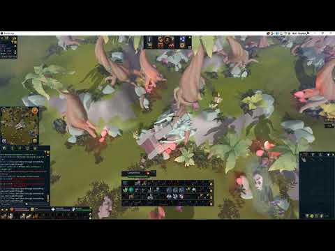 5 24 Anachronia Agility Course Counterclockwise