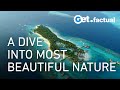 Equatorial Oasis Revealed: Come With Us Into the Breathtaking Natural Scenery | Full Documentary