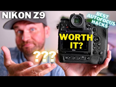 Wie gut ist sie WIRKLICH? | Nikon Z9 Testbericht & AUTOFOKUS-TIPPS für gestochen scharfe Bilder!