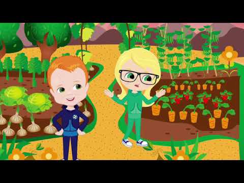 Oxford Bright Ideas 1 - Big Question 5