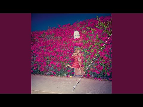 Videoclip de Lost Dreams — Feist