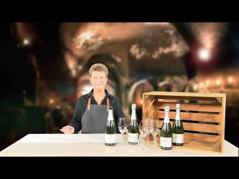 Wein des Monats - September 2022 - Familienweingut Renner - Astrid Völkl