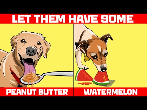 YouTube video about: Can dogs have lucky charms?