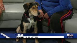 2nd Chance Pet: Tyler