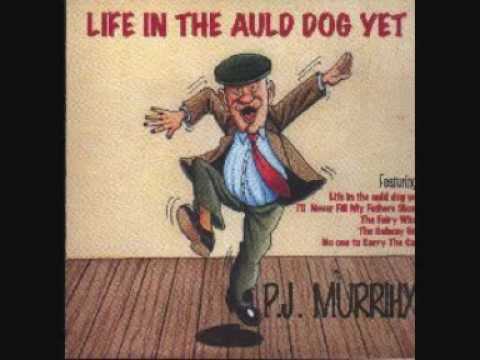 P.J Murrihy - Life In The Auld Dog Yet