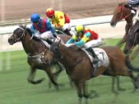 [Audemars Piguet QEII Cup 2011] AMBITIOUS DRAGON won the Audemars Piguet QE II Cup