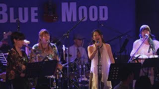 ABOUT - LOVE BE THE MESSENGER (cover) / LIVE at BLUE MOOD, 2017