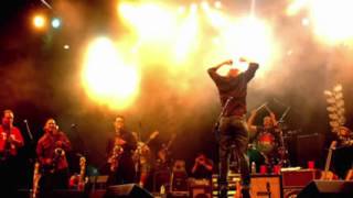 Trey Anastasio Band - Black Dog