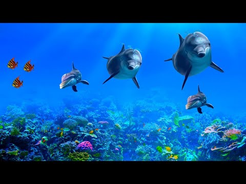 💙🌈 Beruhigende Entspannende Musik für Nerven 🌿 Heilende Musik für das Herz, Musik für die Seele