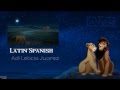 The Lion King II - Love Will Find A Way (One Line ...