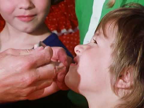 Kli-Kla-Klawitter Folge 31 - Geschichten vom Zahnarzt