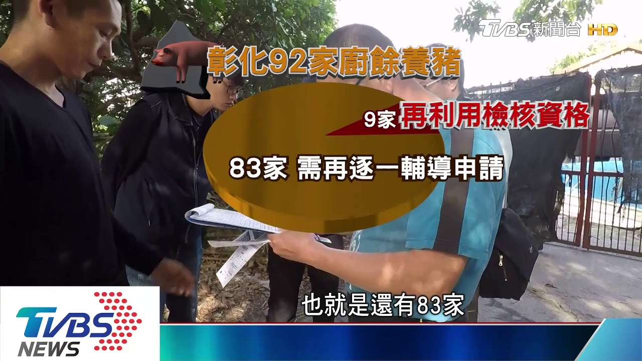 防豬瘟強化稽查 養豬戶需「再利用檢核」