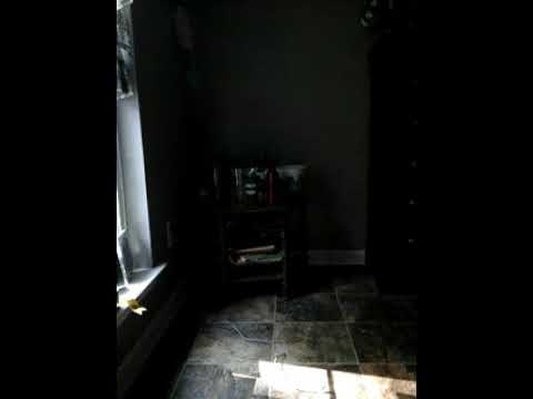 Bill say how is the boat  ride  it is awesome  I went  Tubing  when I played  my phone  last  night