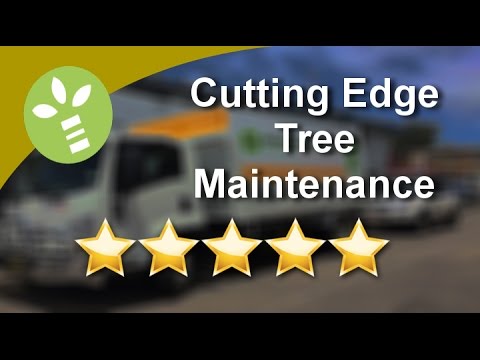 Cutting Edge Tree Maintenance Five Star Reviews Maitland Newcastle Hunter Valley and Warners Bay NSW