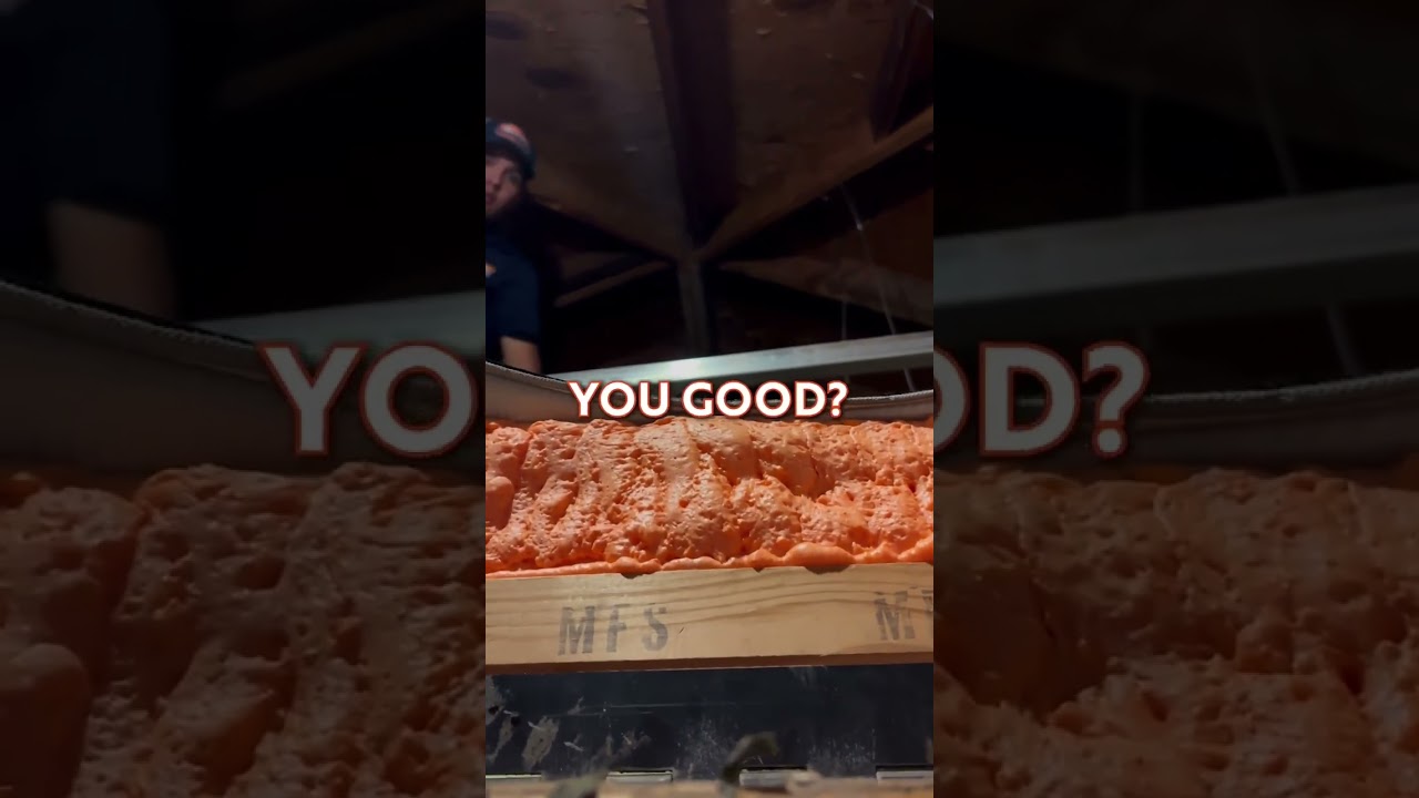 POV: Life Flashed Then Laughed