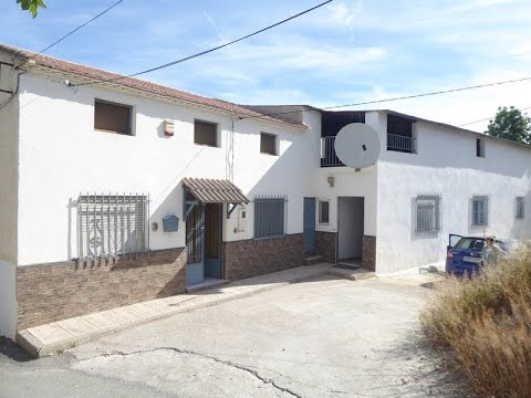 video image