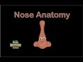 The Nose Anatomy Song