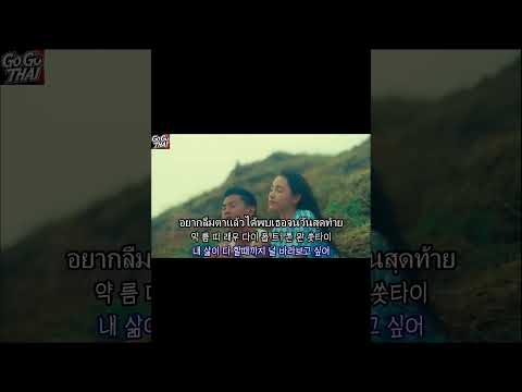 뮤비도, 가사도 너무 아름다운노래 fellow fellow 펠로우 펠로우 - ดาวหางฮัลเลย์ 헬리혜…