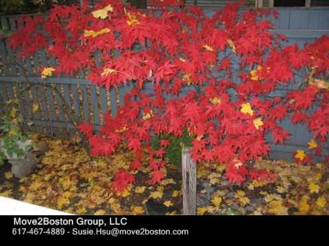 63 Elm Rd, Newton MA 02460 - Single Family Home - Real Estate - For Sale -