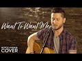 Want To Want Me - Jason Derulo (Boyce Avenue acoustic cover) on Spotify & Apple
