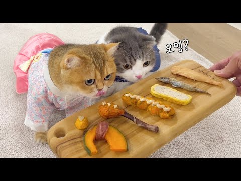 냥이들을 위해 요리했는데 예상 못 한 반응ㅋㅋ