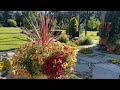 Summer Blooming Annuals A Photo Essay