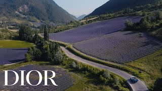 Dior A wild beauty made by Dior in the heart of the France